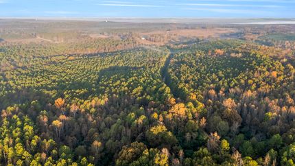 Hunting Land for sale in Lamar County, Alabama