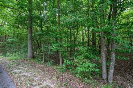 Undeveloped Land for sale in Hot Spring County, Arkansas