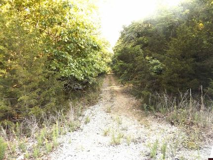 Undeveloped Land for sale in Baxter County, Arkansas