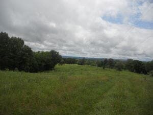 Undeveloped Land for sale in Boone County, Arkansas