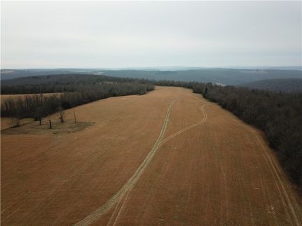 Undeveloped Land for sale in Searcy County, Arkansas