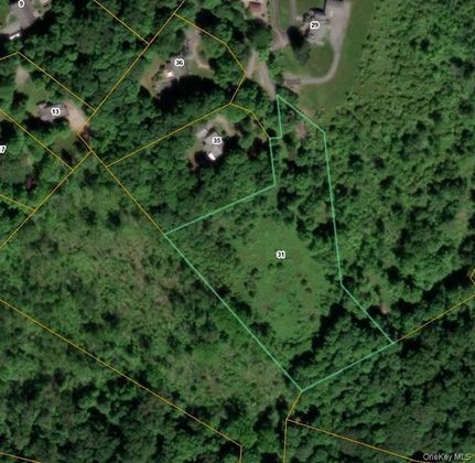 Undeveloped Land for sale in Orange County, New York