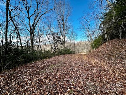 Undeveloped Land for sale in Macon County, North Carolina