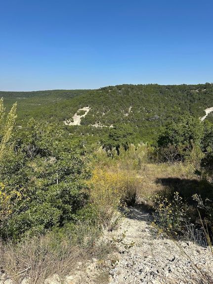 Undeveloped Land for sale in Travis County, Texas