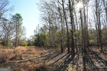 Property for sale in Bulloch County, Georgia