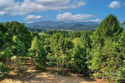 Undeveloped Land for sale in Buncombe County, North Carolina