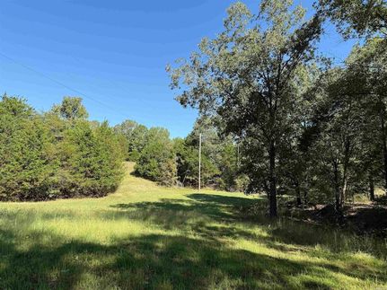 Undeveloped Land for sale in Saint Francis County, Arkansas