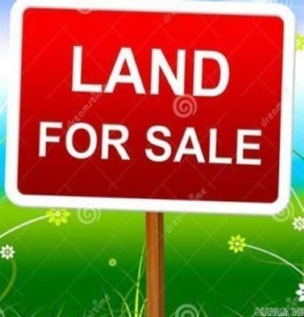 Undeveloped Land for sale in Grant County, Arkansas