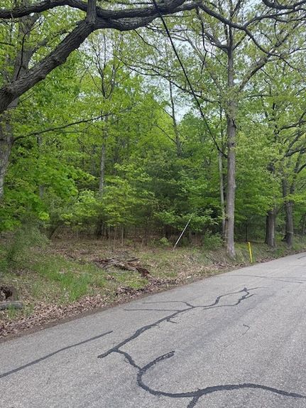 Undeveloped Land for sale in Bradford County, Pennsylvania