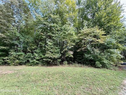 Waterfront Property for sale in Roane County, Tennessee