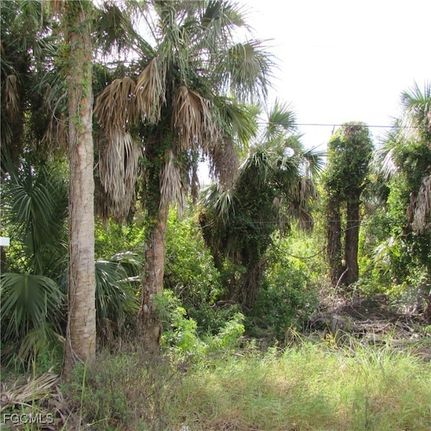 Lakefront Property for sale in Lee County, Florida