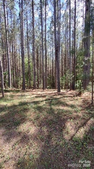 Undeveloped Land for sale in Cleveland County, North Carolina