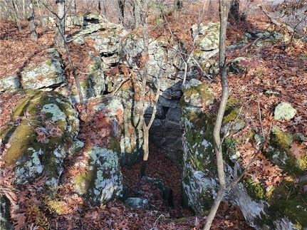 Undeveloped Land for sale in Newton County, Arkansas