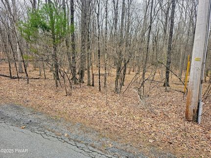 Undeveloped Land for sale in Pike County, Pennsylvania