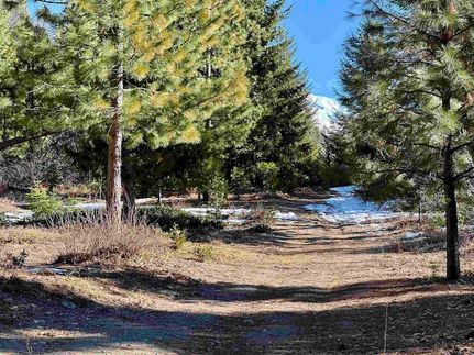 Undeveloped Land for sale in Siskiyou County, California