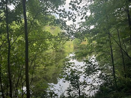 Undeveloped Land for sale in Sauk County, Wisconsin