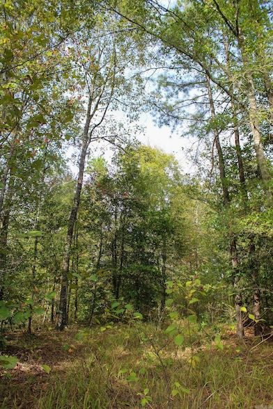 Undeveloped Land for sale in Polk County, Arkansas