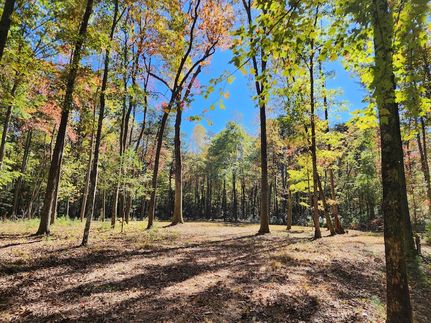 Property for sale in DeKalb County, Alabama