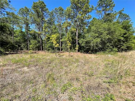 Undeveloped Land for sale in Marion County, Florida