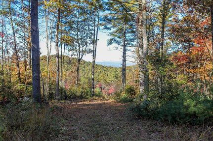 Property for sale in Cherokee County, North Carolina