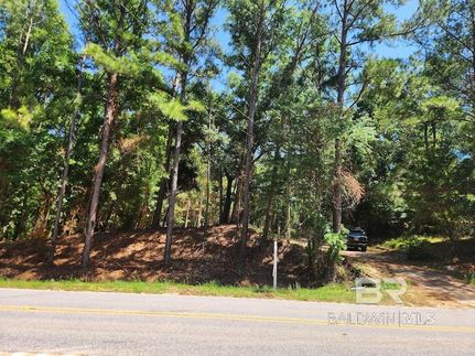 Undeveloped Land for sale in Baldwin County, Alabama