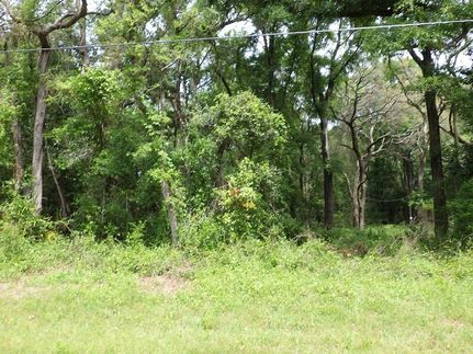 Undeveloped Land for sale in Levy County, Florida