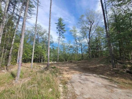 Undeveloped Land for sale in Carroll County, New Hampshire