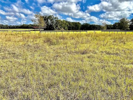 Undeveloped Land for sale in Marion County, Florida