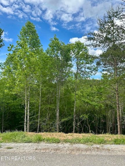 Property for sale in Campbell County, Tennessee