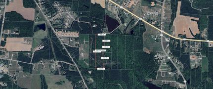 Undeveloped Land for sale in Johnston County, North Carolina