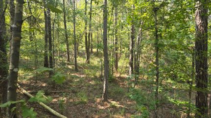 Property for sale in Franklin County, Mississippi