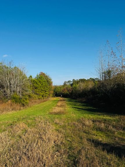 Property for sale in Attala County, Mississippi