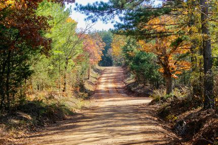 Hunting Land for sale in Madison County, Arkansas