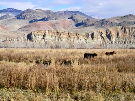 Ranch Property for sale in Custer County, Idaho