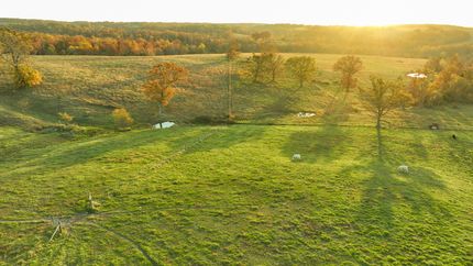 Property for sale in Texas County, Missouri