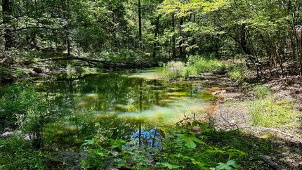 Hunting Land for sale in White County, Arkansas