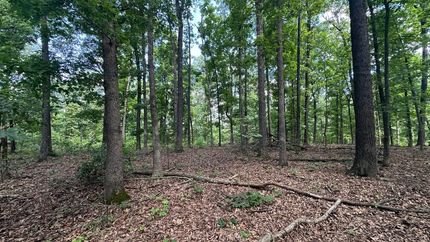 Timberland Property for sale in Sharp County, Arkansas