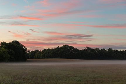 Ranch Property for sale in Williamson County, Tennessee