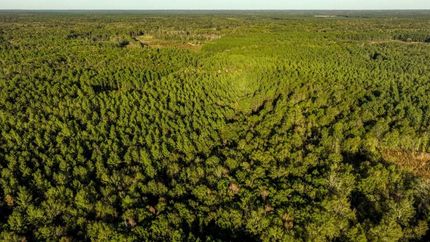 Recreational Property for sale in Jenkins County, Georgia