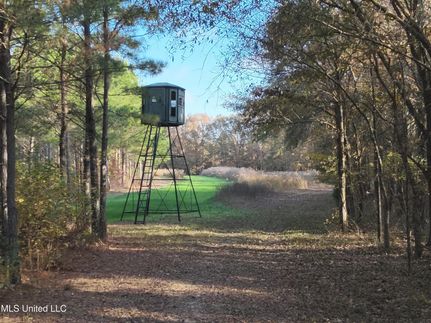 Undeveloped Land for sale in Yazoo County, Mississippi