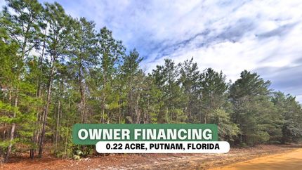 Timberland Property for sale in Putnam County, Florida