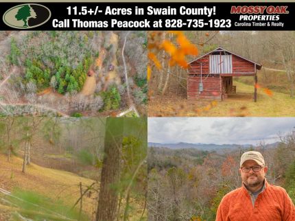 Undeveloped Land for sale in Swain County, North Carolina