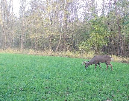 Ranch Property in Greene County, Indiana