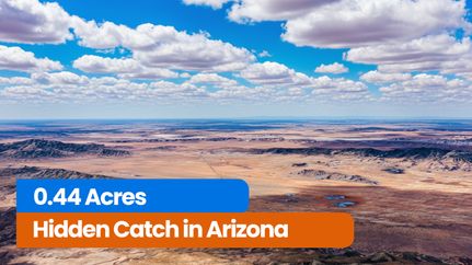 Property for sale in Mohave County, Arizona