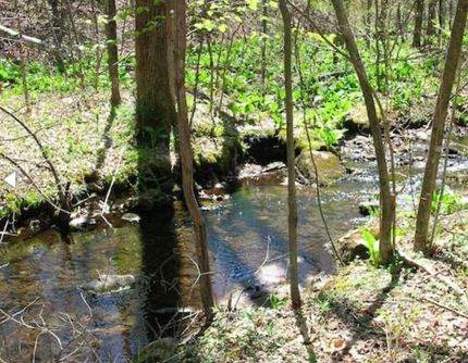 Ranch Property for sale in Trinity County, California