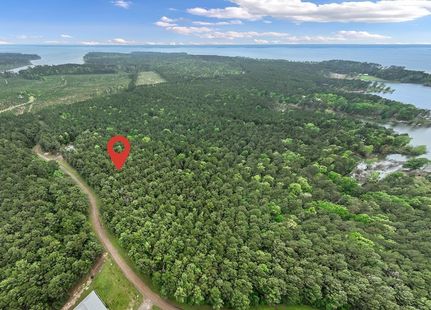 Undeveloped Land for sale in San Augustine County, Texas