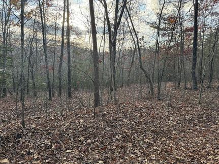 Undeveloped Land for sale in Fannin County, Georgia