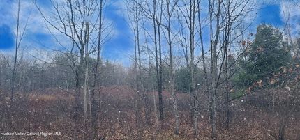 Undeveloped Land for sale in Erie County, New York