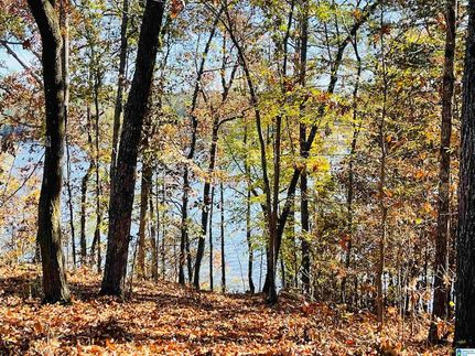 Undeveloped Land for sale in Saint Clair County, Alabama