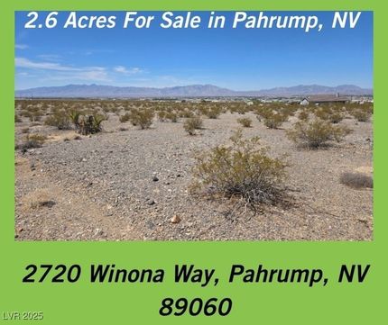 Undeveloped Land for sale in Nye County, Nevada